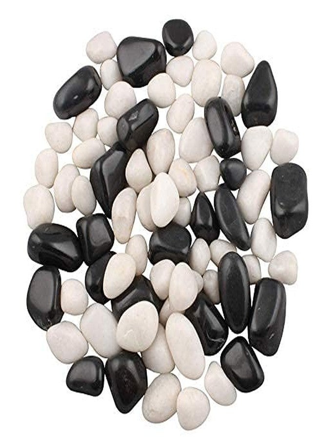 VANNEF® Premium Black&White Polish Stone Ornamental River Rocks Tumbled Stones for Landscaping Home Decor Crafts Garder Aquirum/Fish Tank (400 gm Black&White) - Image 3